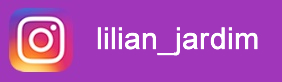 instgram-lilian-jardim